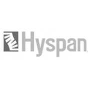 Hyspan logo showcasing a stylized design, representing the brand's identity in web design and development services.